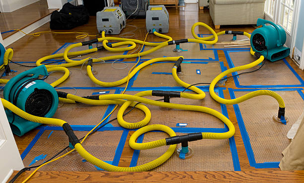 Professional Storm Water Damage Restoration technician working in Wayland, MA